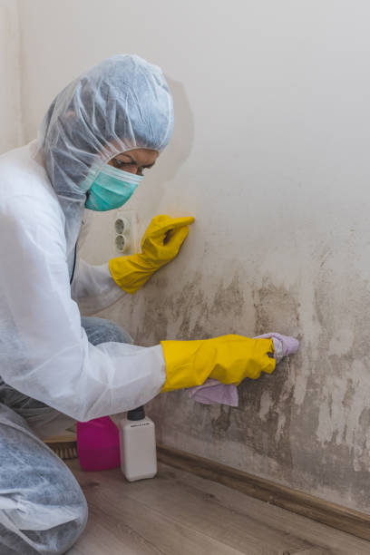 Best Airborne Mold Testing  in Conley, GA