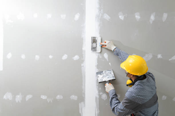 Best Mold Odor Removal Services  in Conley, GA