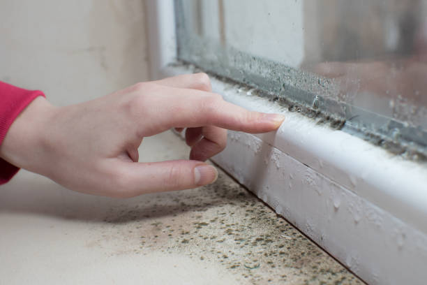 Best Mold Remediation for Healthcare Facilities  in Conley, GA