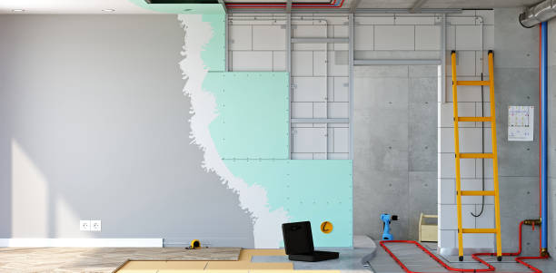 Mold Documentation for Insurance Claims in Conley, GA