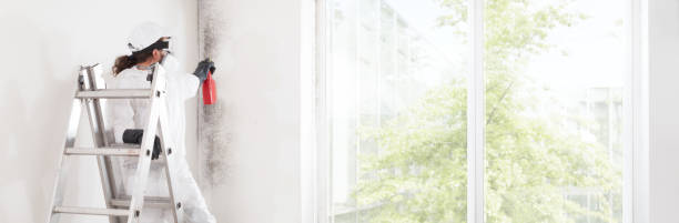 Best Biohazard Mold Removal  in Conley, GA