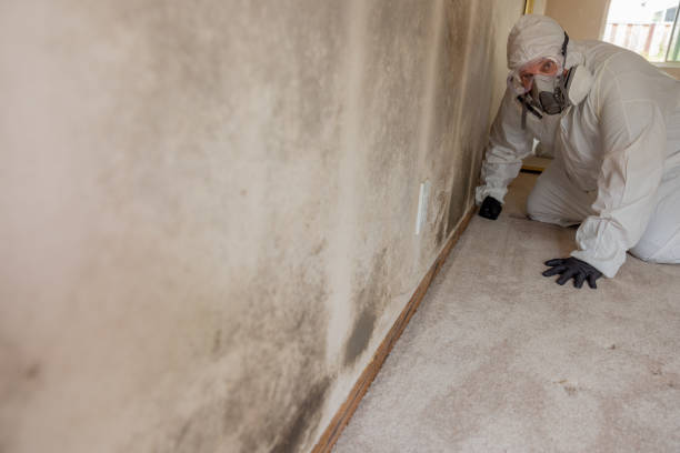 Best Post-Remediation Verification Testing  in Conley, GA